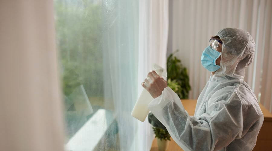 Why choose Shalimar Termite Inspection for termite inspection in Shalimar